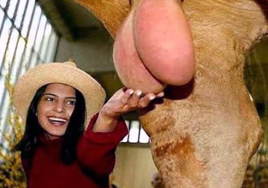 bile - 1245176471oua.jpg